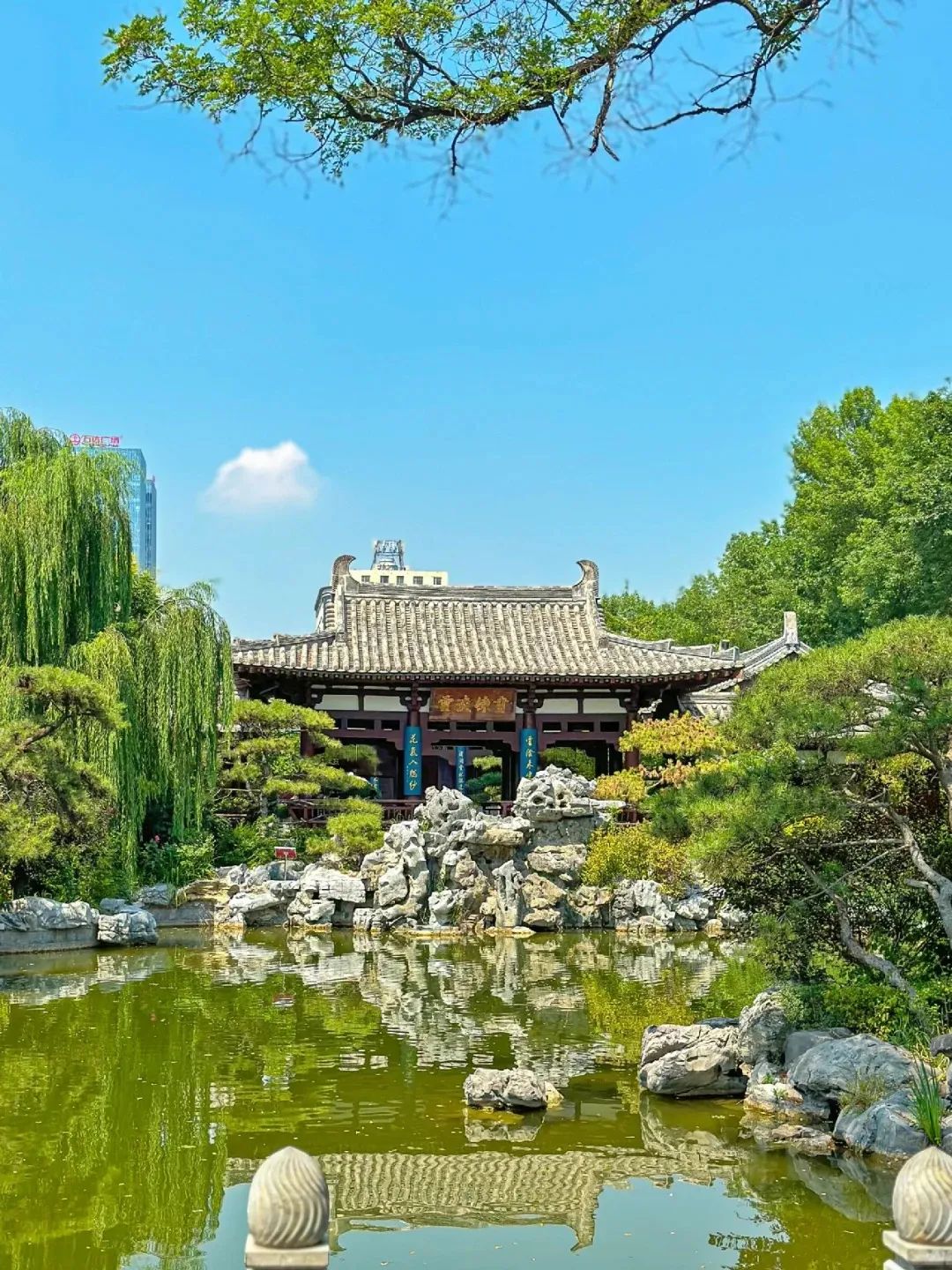 圖片