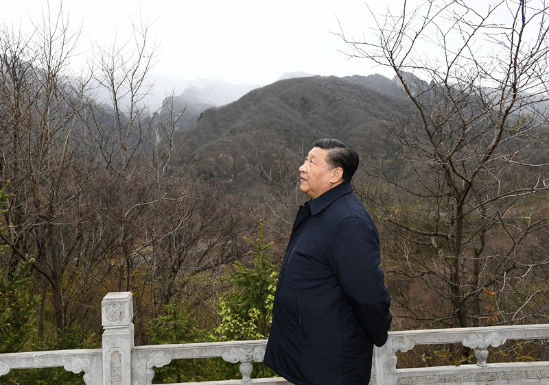 2020年4月20日，習近平在陜西秦嶺牛背梁國家級自然保護區(qū)，了解秦嶺生態(tài)保護工作情況。